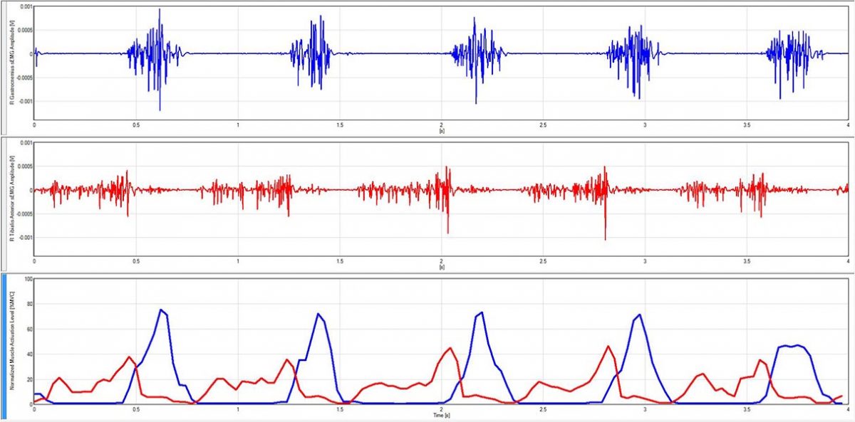 EMGworks® Analysis Delsys